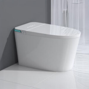 Advanced Smart Bidet Toilet with Temperature Control