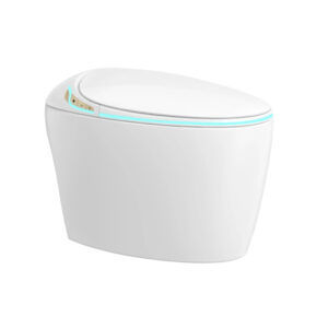 luxury intelligent toilet with instant warm water