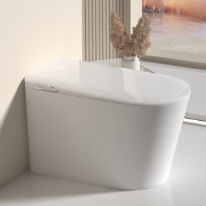 luxury intelligent toilet with instant warm water (copy)