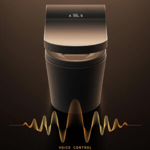 smart toilet voice control
