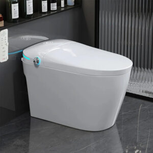 smart toilet with tank bidet toilet with auto dual flush
