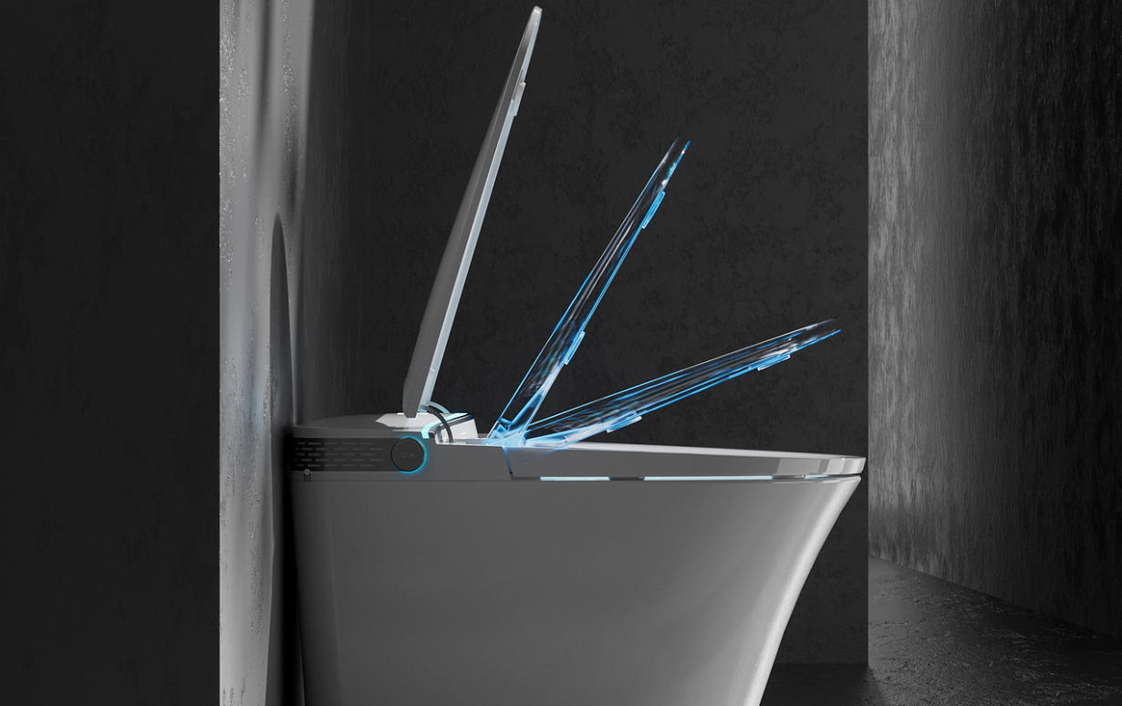 smart toitlet purchasing advice