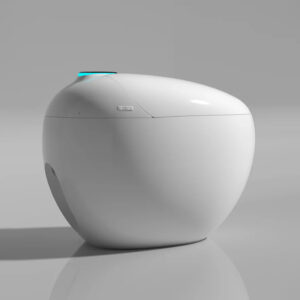 tankless intelligent toilet with automatic lid and dryer