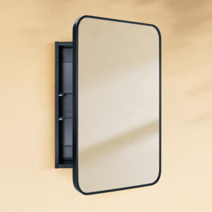 contemporary black edged mirror cabinet tailored for commercial restroom upgrades